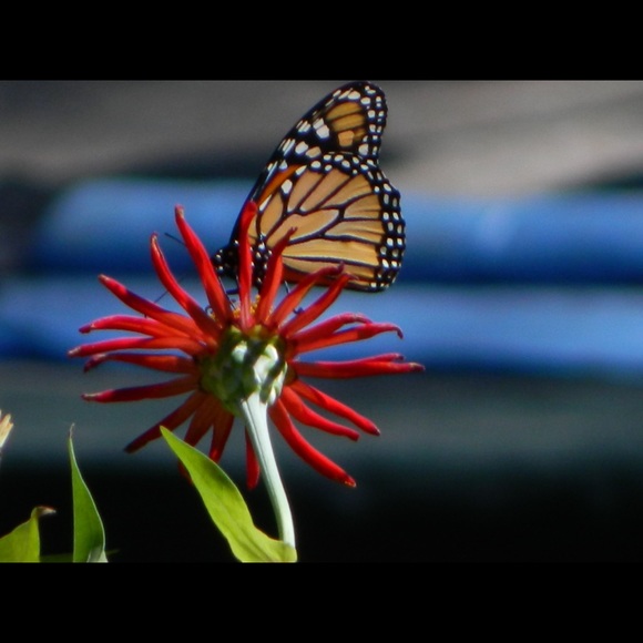 Meet your Posher, Halina - Picture 12 of 16